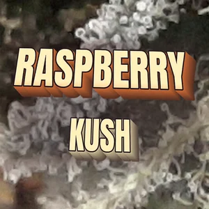 Raspberry Kush Cannabis Strain