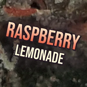 Raspberry Lemonade Cannabis Strain