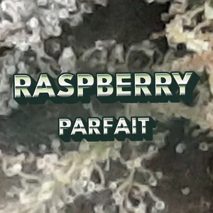 Raspberry Parfait Cannabis Strain