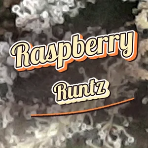 Raspberry Runtz Cannabis Strain