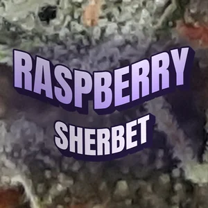 Raspberry Sherbet Cannabis Strain