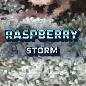 Raspberry Storm Cannabis Strain