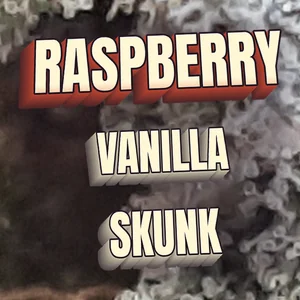 Raspberry Vanilla Skunk Cannabis Strain