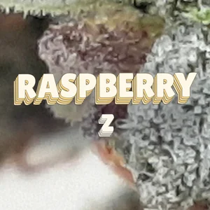 Raspberry Z Cannabis Strain