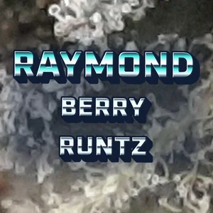 Raymond Berry Runtz Cannabis Strain
