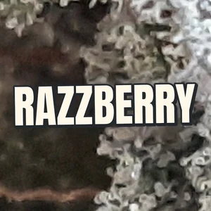 Razzberry Cannabis Strain