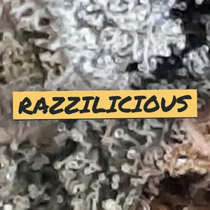Razzilicious Cannabis Strain