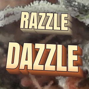 Razzle Dazzle Cannabis Strain