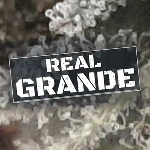 Real Grande Cannabis Strain
