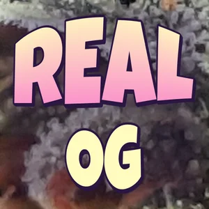 Real OG Cannabis Strain