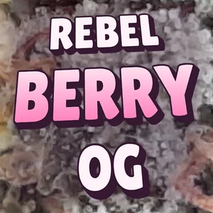 Rebel Berry OG Cannabis Strain
