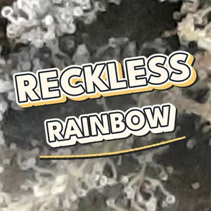Reckless Rainbow Cannabis Strain