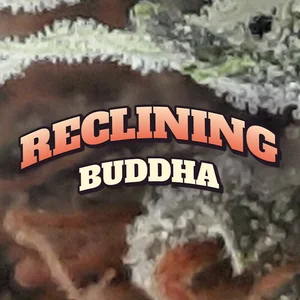 Reclining Buddha Cannabis Strain