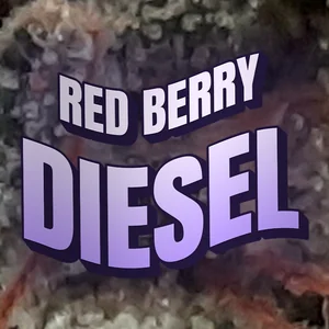 Red Berry Diesel Cannabis Strain