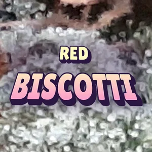 Red Biscotti Cannabis Strain