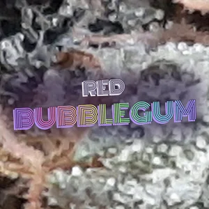 Red Bubblegum Cannabis Strain