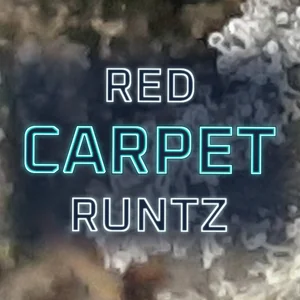 Red Carpet Runtz Cannabis Strain
