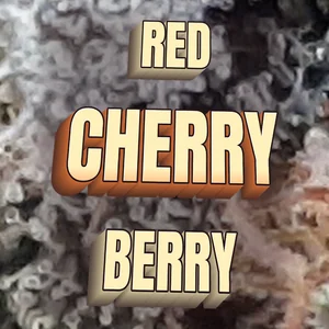 Red Cherry Berry Cannabis Strain