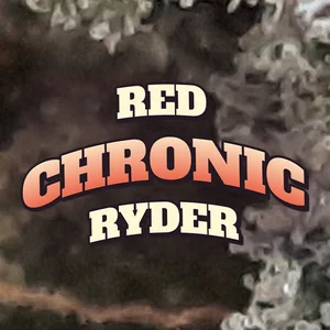 Red Chronic Ryder Cannabis Strain