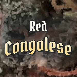 Red Congolese Cannabis Strain