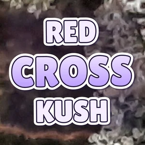 Red Cross Kush Cannabis Strain