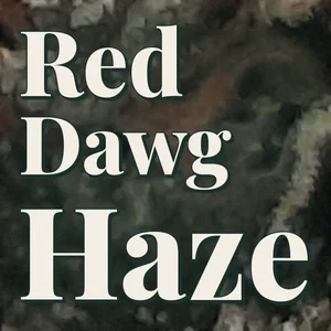 Red Dawg Haze Cannabis Strain
