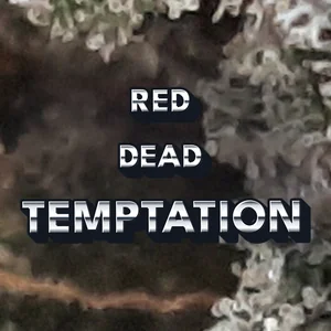 Red Dead Temptation Cannabis Strain