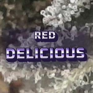 Red Delicious Cannabis Strain