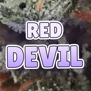 Red Devil Cannabis Strain