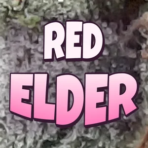 Red Elder Cannabis Strain