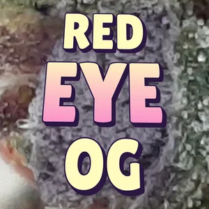 Red Eye OG Cannabis Strain