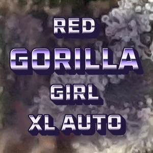 Red Gorilla Girl XL Auto Cannabis Strain