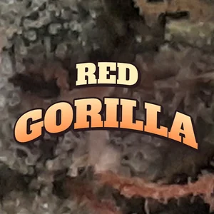 Red Gorilla Cannabis Strain