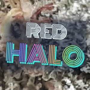 Red Halo Cannabis Strain