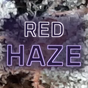 Red Haze Cannabis Strain