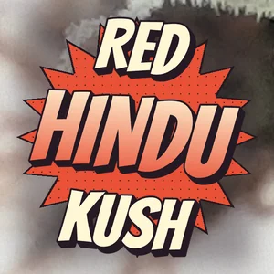 Red Hindu Kush Cannabis Strain