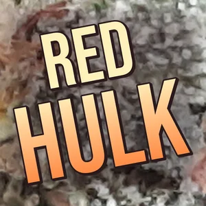 Red Hulk Cannabis Strain