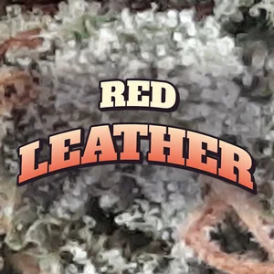 Red Leather Cannabis Strain