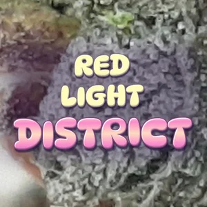 Red Light District Cannabis Strain