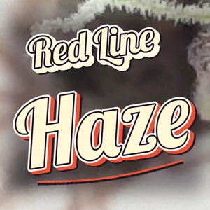 Red Line Haze Cannabis Strain