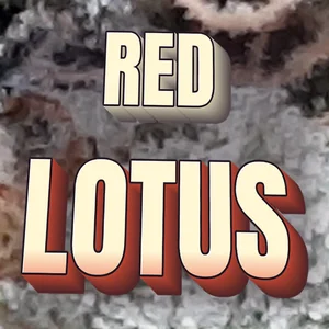 Red Lotus Cannabis Strain