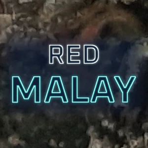 Red Malay Cannabis Strain