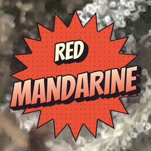 Red Mandarine Cannabis Strain