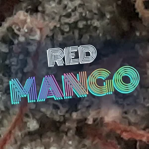 Red Mango Cannabis Strain