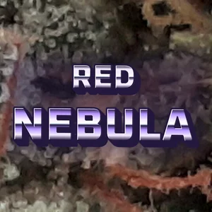 Red Nebula Cannabis Strain