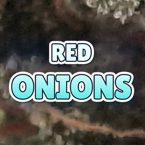 Red Onions Cannabis Strain