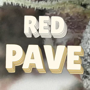 Red Pave Cannabis Strain