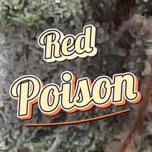 Red Poison Cannabis Strain