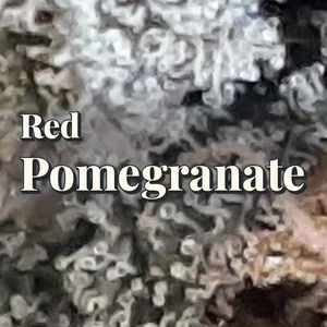 Red Pomegranate Cannabis Strain