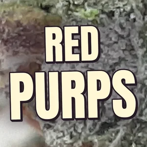Red Purps Cannabis Strain